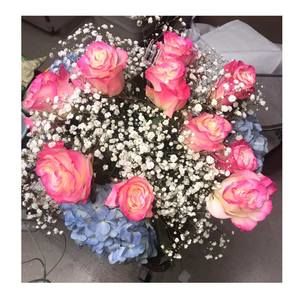 Meet your Posher, Angelica